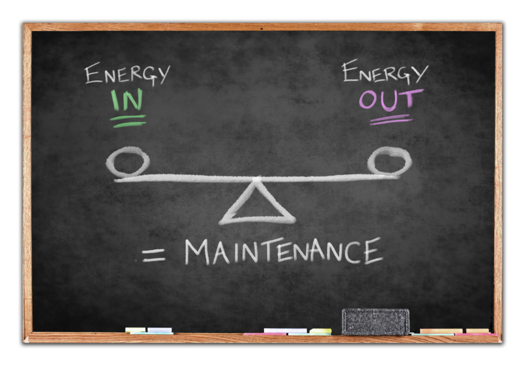 A diagram of scales depicting energy balance for weight maintenance: On the left, energy in and on the right energy out. The scale is level (balanced)